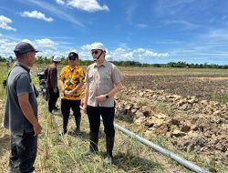 Kejar Ketahanan Pangan, Stafsus Herzaky Tinjau Progres Irigasi di Dusun Senseng Sambas