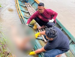 Warga Sotok Digegerkan Penemuan Mayat Mengapung di Sungai Sekayam