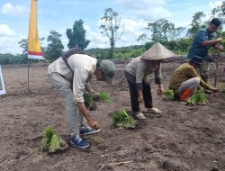 Modernisasi Pertanian di Perbatasan RI–Malaysia, TMI Sambas Luncurkan Program ISEA untuk Percepat Transformasi Petani Lokal