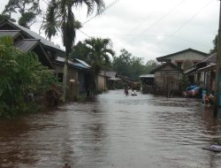 Banjir Rendam Desa Sungai Bening Sambas, Sekitar 200 Rumah Warga Tergenang