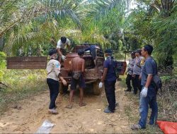 Warga Mukok Digegerkan Penemuan Mayat Membusuk di Perkebunan Sawit