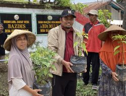 Pemdes Kaltim Bagikan 1.000 Bibit Cabai untuk Dukung Ketahanan Pangan