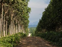 Perusahaan Abaikan Kewajiban: PT HKI Tidak Bayar Pesangon Pekerja Sesuai Ketentuan