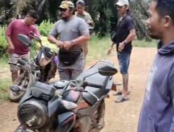 PT PTS Bantah Tuduhan Kekerasan, Sebut Panen Massal Ilegal Jadi Pemicu