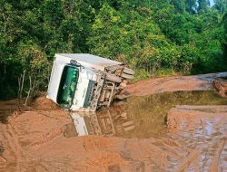 Bupati Ketapang Gerak Cepat Surati Perusahaan dan Pemprov Kalbar Atasi Keluhan Jalan Provinsi