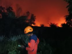 Karhutla Kembali Terjadi di Sungai Raya Dalam Kubu Raya, Empat Titik Api Sempat Muncul