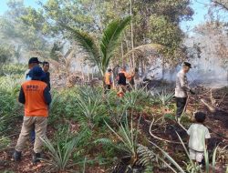 Karhutla Landa Mempawah Timur, Polisi dan BPBD Berjibaku Padamkan Api