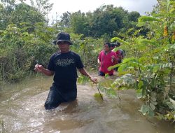 Pencarian Warga Sajingan Besar yang Hilang di Kebun Masuki Hari Kelima, Keluarga Masih Berharap Korban Ditemukan