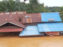 Banjir Rendam Ribuan Rumah di Sekadau, Lebih dari 11 Ribu Warga Terdampak