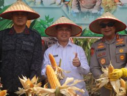 Kalbar Siap Perkuat Ketahanan Pangan Nasional, Ria Norsan: Jagung Jadi Penopang Investasi Peternakan Rp1,7 Triliun