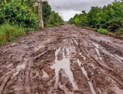 Puluhan Tahun Rusak, Jalan Merbau–Sui Dungun Sambas Kian Memprihatinkan