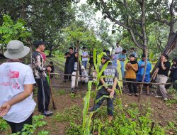 Menelusuri Jejak Pangan Lokal di Lombok Utara