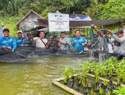 Panen Perdana Lele Air Tawar di Pelapis, Diversifikasi Ekonomi Nelayan Mulai Berbuah