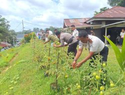 Panen Raya Tomat di Rutan Sanggau, Pembinaan Kemandirian dan Ketahanan Pangan