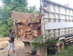 Kontras Penindakan: Warga Ditindak, Kayu Skala Besar Luput dari Gakkum KLHK dan APH