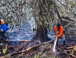 Tiga Kabupaten di Kalbar Tetapkan Status Siaga Darurat Karhutla