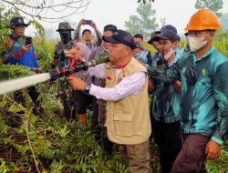 Wabup Mempawah Tinjau Lokasi Karhutla di Sungai Pinyuh, Status Naik Jadi Tanggap Darurat