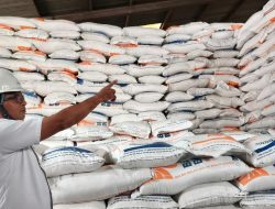 Bulog Pastikan Stok Beras Kalbar Aman Jelang Imlek dan Ramadan