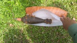 Warga Beduai Serahkan Mortir Diduga Masih Aktif ke Polisi