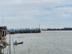 Kemarau Panjang, Salinitas Sungai Kapuas Naik dan Berpotensi Ganggu Air Baku PDAM Pontianak