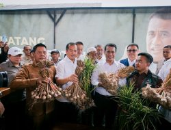Mentan Tetapkan NTB sebagai Sentra Produksi Bawang Putih Nasional, Target Hentikan Impor 3–5 Tahun