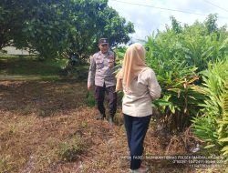 Bhabinkamtibmas Polsek Pangkalan Balai Ajak Warga Manfaatkan Pekarangan untuk Dukung Ketahanan Pangan