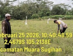 Lahan 30×30 Meter Disulap Jadi Kebun Terong, Bhabinkamtibmas Polsek Muara Padang Dorong Warga Mandiri Pangan