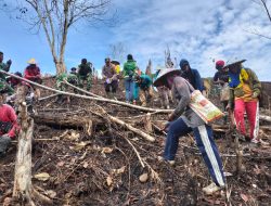 Desa Mawang Muda Tanam Jagung Hibrida, Perkuat Ketahanan Pangan Nasional