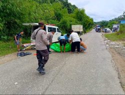 Tabrakan di Dusun Semuntai, Istri Meninggal Dunia, Suami Patah Tulang dan Dua Anak Luka Ringan
