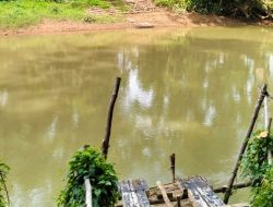 Warga Sekadau Tolak Aktivitas PETI, Soroti Dugaan Pencemaran Sungai dan Kompensasi Tidak Transparan