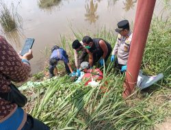 Kapolsek Rambutan Turun Langsung Terkait Ditemukannya Mayat Pria di Persawahan Sungai Pinang