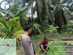 Bhabinkamtibmas Polsek Betung Turun ke Sawah, Ajak Masyarakat Sukseskan Program Swasembada Pangan