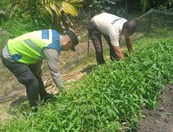 Bhabinkamtibmas Polsek Betung Ajak Warga Desa Bukit Manfaatkan Pekarangan Dukung Ketahanan Pangan