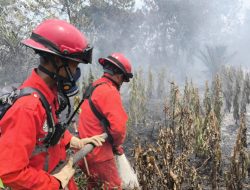 Karhutla Kembali Terjadi di Selakau Timur, Dua Hektare Lahan Gambut Terbakar