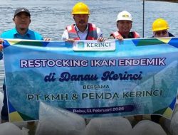 PT KMH Bersama Pemkab Kerinci Tebar Ikan Endemik di Danau Kerinci