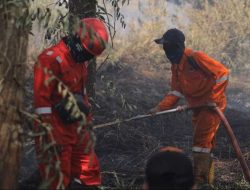 Pemkot Pontianak Terbitkan Surat Edaran Cegah Karhutla
