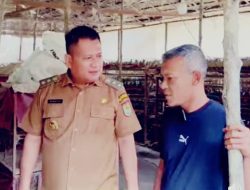 Dorong Ekonomi Lokal, Wabup Asahan Tinjau UMKM Peternakan Burung Puyuh di Pematang Sei Baru