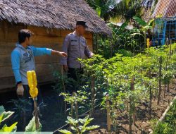 Bhabinkamtibmas Rantau Bayur Gerakkan Masyarakat Dukung Swasembada Pangan Nasional