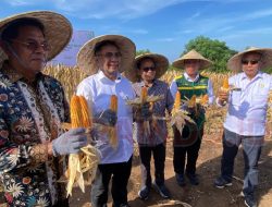 Haerul Warisin : Strategi Pertanian Lahan Kering dan Perlindungan Petani lewat BPJS Ketenagakerjaan