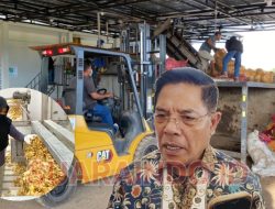 Bupati Lombok Timur Dorong Pengembangan Porang