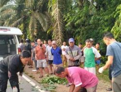 Diduga Tabrak Lari, Seorang Pria Ditemukan Meninggal di Jalan Raya Bodok–Sosok