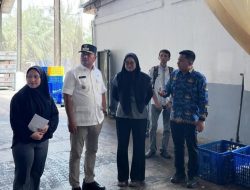 Wabup Asahan Tinjau Pabrik Tepung Kelapa di Hessa Perlompongan, Dorong Hilirisasi dan Ekspor