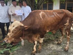 Salurkan 800 Kantong Daging Kurban, Ketua DPRD Sumsel Andie Dinialdie: Ini Bentuk Kepedulian Golkar Bagi Masyarakat