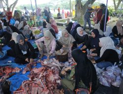 Pemkab Asahan Sembelih 101 Hewan Qurban, Daging Disalurkan ke Warga Kisaran dan Sekitarnya