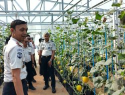 Panen Melon SAE, Rutan Kelas I Palembang Wujudkan Pembinaan Produktif dan Dukung Ketahanan Pangan