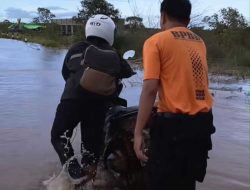 Kades Sebut Faktor Alam, Warga Bantah Jalan Pernah Banjir Sebelum Ada PT BAP