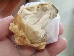 Menu Ayam MBG di Posyandu Cemara Dikeluhkan Warga, Puskesmas Gandus Bakal Lakukan Pemeriksaan