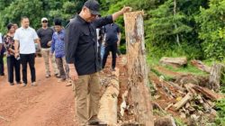 Jembatan Benipis Dua Kini Kembali Fungsional, Wujud Sinergi Pemerintah dan Dunia Usaha di Ketapang
